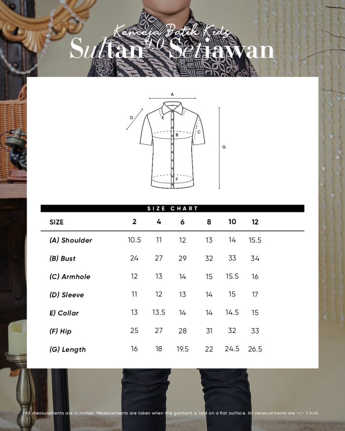 Baju Kemeja Batik Sultan Kids 9.0 - Setiawan Navy Blue - Image 5